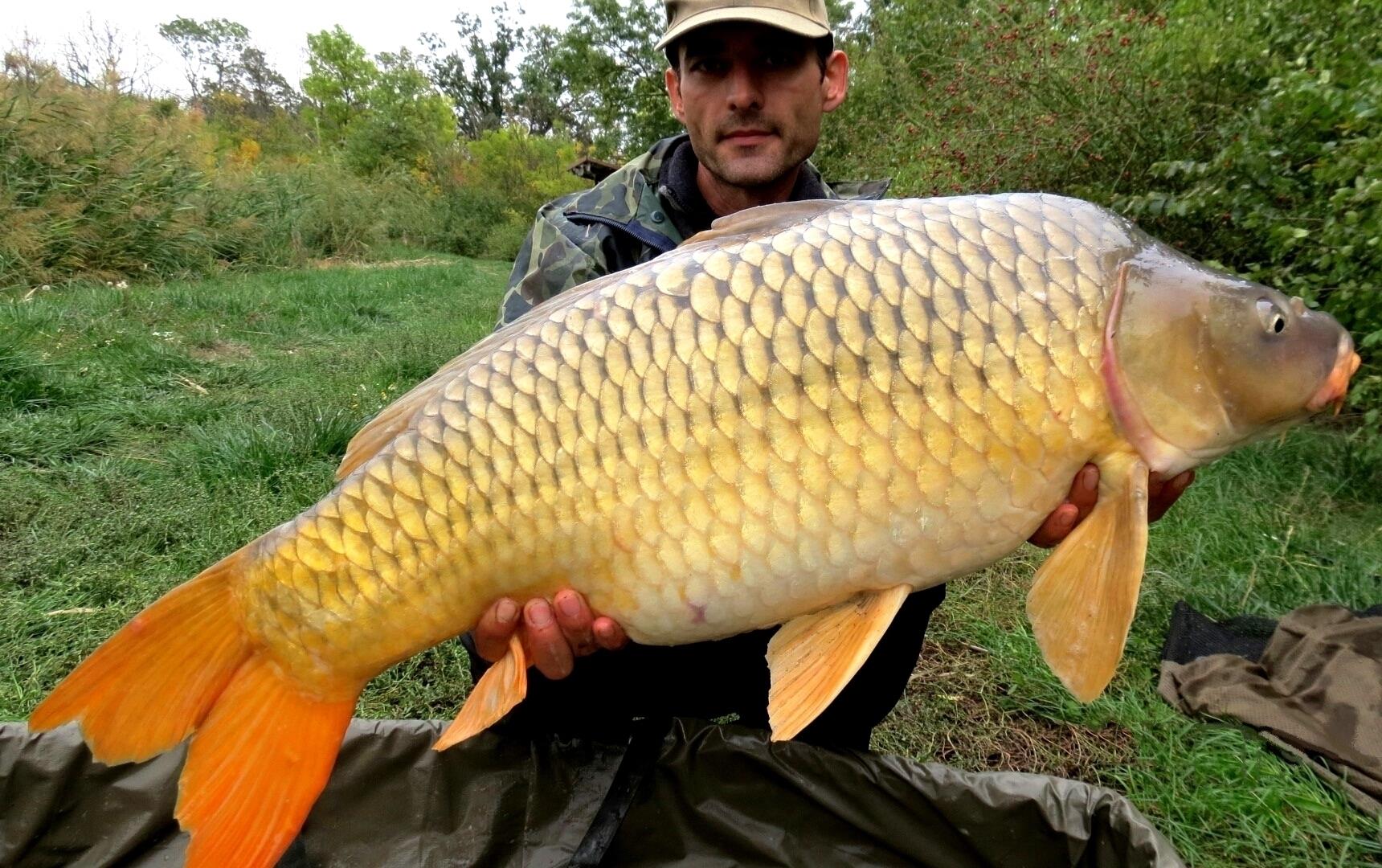 The best pictures of 2013 - 13,440